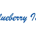 blueberry inn logo shillong hotels result