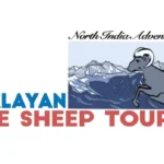 himalayan bluesheep tours logo shillong doodlepyng result